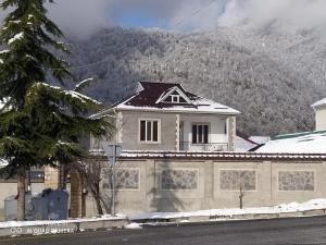 a house on a street with a mountain in the background at Dreamed Villa In Gabala in Gabala +17 photos