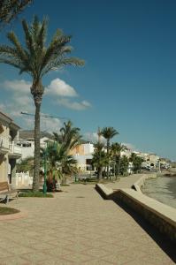 a walkway with palm trees in a resort at Pension Cuatro Vientos in Cuevas del Almanzora