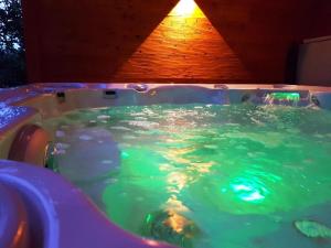 eine Badewanne mit viel grünem Wasser in der Unterkunft Haus Sternenblick in Drachselsried