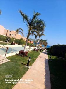Villa with private pool cancun elsokhna 93 في العين السخنة: رصيف به أشجار النخيل والمحيط