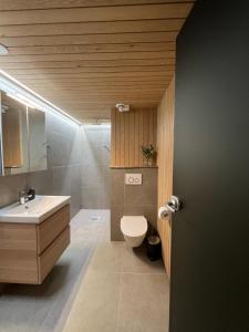 a bathroom with a toilet and a sink at Hilltop Villa at Lake Porontima in Kuusamo