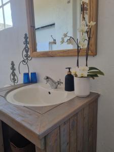 lavabo con espejo y jarrón con flores en Langdam Guest Farm en Goedgemoed