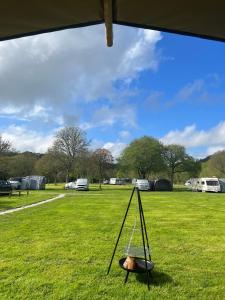 a dog sitting in a swing in a field at Safari Tent in Pentewan
