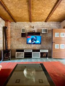 a living room with a tv on a stone wall at Skadar Lake Apartment Nikola I in Virpazar