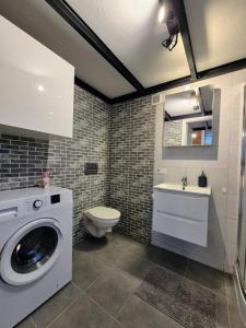 羅茲的住宿－Klimatyczny apartament w magicznym miejscu，一间带洗衣机和卫生间的浴室