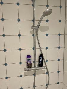 La salle de bains est pourvue d'une douche avec du carrelage bleu et blanc. dans l'établissement Eckhuetteins, à Bernried am Starnberger See