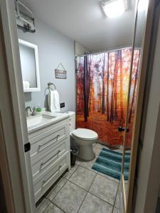 a bathroom with a toilet and a shower with a window at Fenced backyard, deck, pet-friendly home in Springfield