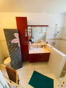 La salle de bains est pourvue d'un lavabo et d'un miroir. dans l'établissement Villa Créole idéalement située, au Lamentin