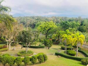 a park with trees and bushes and palm trees at E-outfitting Valley Resort in Chiang Mai
