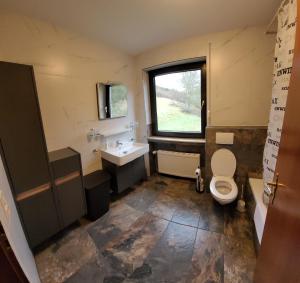 a bathroom with a toilet and a sink and a window at Familiehuis Dolve in Mürlenbach