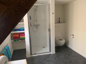 ein Bad mit einer Dusche und einem WC in der Unterkunft Sfeervol Voorhuis in Bladel