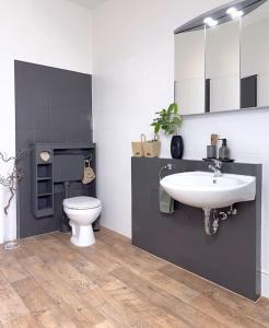 La salle de bains est pourvue d'un lavabo et de toilettes. dans l'établissement 1 - 4 Pers. Apartment in Jeßnitz • Mawoi Living, 