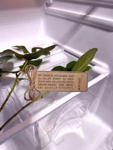 Una planta en un refrigerador con una etiqueta. en 1 - 4 Pers. Apartment in Jeßnitz • Mawoi Living, 