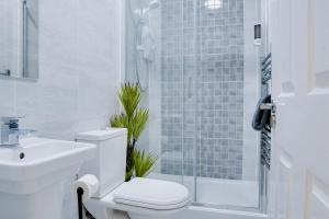 uma casa de banho com um WC, um lavatório e um chuveiro em Stylish 2 bedroom flat - 15 minutes to Liverpool City Centre em Birkenhead