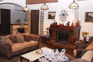 a living room with couches and a fireplace at Pensiunea Tobo in Baia de Fier +68 photos