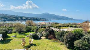 Φυσικό τοπίο κοντά σε αυτή η βίλα