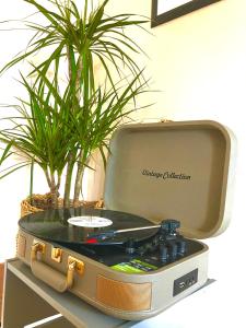 a suitcase sitting on top of a table with a plant at Best Kept Secret by the Sea in Famagusta