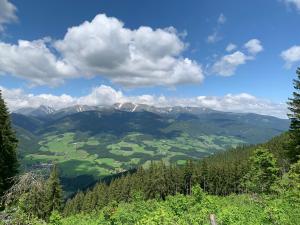 een uitzicht op een vallei met bergen en bossen bij Schmuckes Einfamilienwohnhaus in Spielberg