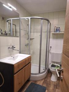 W łazience znajduje się prysznic, umywalka i toaleta. w obiekcie Cherry House w mieście Čatež ob Savi