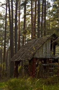 une ancienne cabine au milieu d'une forêt dans l'établissement Pod Dębem, à Bartel Wielki