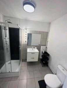 een badkamer met een toilet, een douche en een wastafel bij Face à Face avec la Seine aux portes de Paris in LʼÎle-Saint-Denis