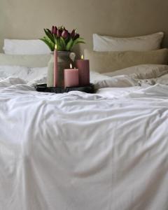 Fotografie z fotogalerie ubytování Logies aan de Dam v destinaci Middelburg