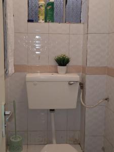 ein WC mit einer Pflanze darüber im Bad in der Unterkunft The Sunset in Nairobi