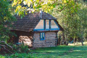 Zahrada ubytování Casa Strâmbă