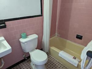 a pink bathroom with a toilet and a sink at TRAVELER'S INN in Smithfield