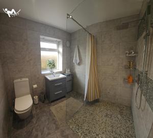 a bathroom with a toilet and a sink and a shower at Spa Serviced Apartments LUNA R&R 