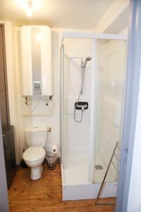 een badkamer met douche en toilet bij Duplex hyper centre : Le Cosy in Niort