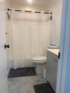 a bathroom with a toilet and a shower curtain at Silver Spring Serene 2BR 2BA, Nature And Access in Silver Spring