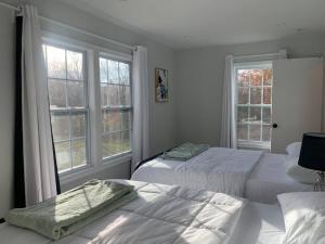two beds in a bedroom with two windows at Silver Spring Serene 2BR 2BA, Nature And Access in Silver Spring