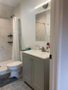 シルバースプリングにあるTranquil Trio 6 BR, 4 BA, 3 Units, Deer Havenの白い洗面台とトイレのあるバスルーム