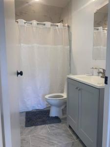 a white bathroom with a toilet and a sink at Silver Spring Serene 2BR2BA, Nature And Access in Silver Spring