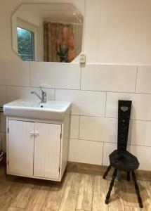 bagno con lavandino, specchio e sedia di De Heijense Molen Retro Camping a Heijen