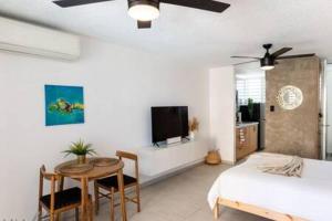 1 dormitorio con cama, mesa y TV en Seaside Serenity - Cozy Studio, en Luquillo