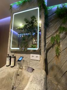 a wall with a picture of a tree in a window at Futurotel Room Spa Garden in Granada