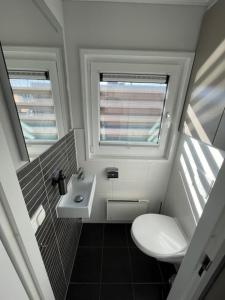 małą łazienkę z toaletą i umywalką w obiekcie Hausboot Dicke Bärta w mieście Klitten