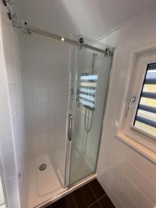 um chuveiro com uma porta de vidro na casa de banho em Hausboot Dicke Bärta em Klitten