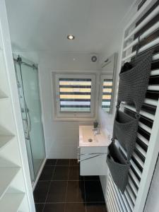 a bathroom with a sink and a shower at Hausboot Dicke Bärta in Klitten