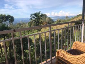 d'un balcon avec une chaise et une vue sur la forêt. dans l'établissement Nature Dale Munnar, à Munnar