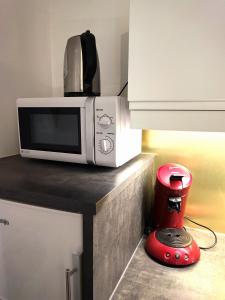 un four micro-ondes sur un comptoir à côté d'un mixeur rouge dans l'établissement Altstadtwohnung Traunstein mit Traunseeblick 1A, à Gmunden