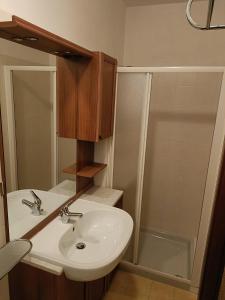 La salle de bains est pourvue d'un lavabo et d'une douche. dans l'établissement Casa Diana, à Bibione