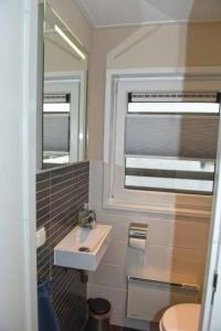 een badkamer met een wastafel en een spiegel bij Hausboot Dolce Vita in Klitten