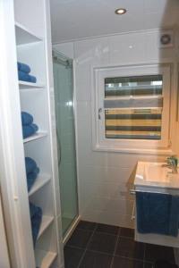 uma casa de banho com um chuveiro e um lavatório. em Hausboot Dolce Vita em Klitten