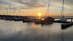 a group of boats docked in a marina at sunset at Hausboot Seestern in Klitten