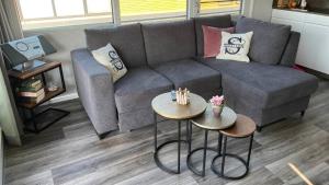 uma sala de estar com um sofá e duas mesas em Hausboot Seestern em Klitten