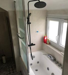 uma casa de banho com um chuveiro, uma banheira e um lavatório. em Villa Pro em Poilly-lez-Gien