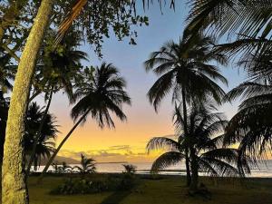 - un groupe de palmiers sur la plage au coucher du soleil dans l'établissement *NEW CampoMar Beachfront 2Bdrm Villa in Arroyo, à Arroyo